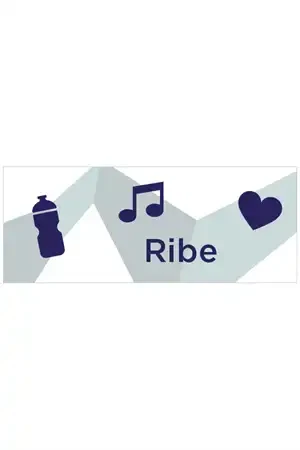 Hegnsbanner 220x87, Ribe